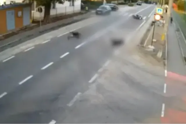 O fetiță de 4 ani a murit după ce scuterul pe care se afla cu mama sa a intrat pe contrasens