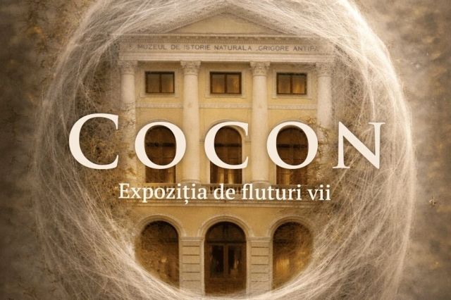 Expoziție dedicată fluturilor, la Muzeul Antipa. Când poate fi vizitată