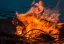 Un obiect exploziv din Al Doilea Război Mondial a explodat la un foc de tabără, în Austria: cinci copii răniți