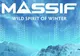 Festivalul MassifWinter de la Braşov, amânat din cauza Covid-19