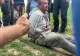 Bărbatul suspectat că a ucis o tânără de 18 ani a fost PRINS