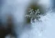 Temperaturi sub zero grade în Harghita. Minus 3,7 grade Celsius la Miercurea Ciuc