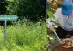 Via Danubiana ajunge la Călărași: 145 de kilometri de traseu ecoturistic și peste 40 de obiective de vizitat