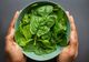 Spanacul - ce beneficii are și cum să îl consumi 