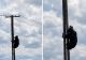 Urs filmat pe un stâlp de electricitate la marginea Brașovului. Imaginile au devenit virale - VIDEO